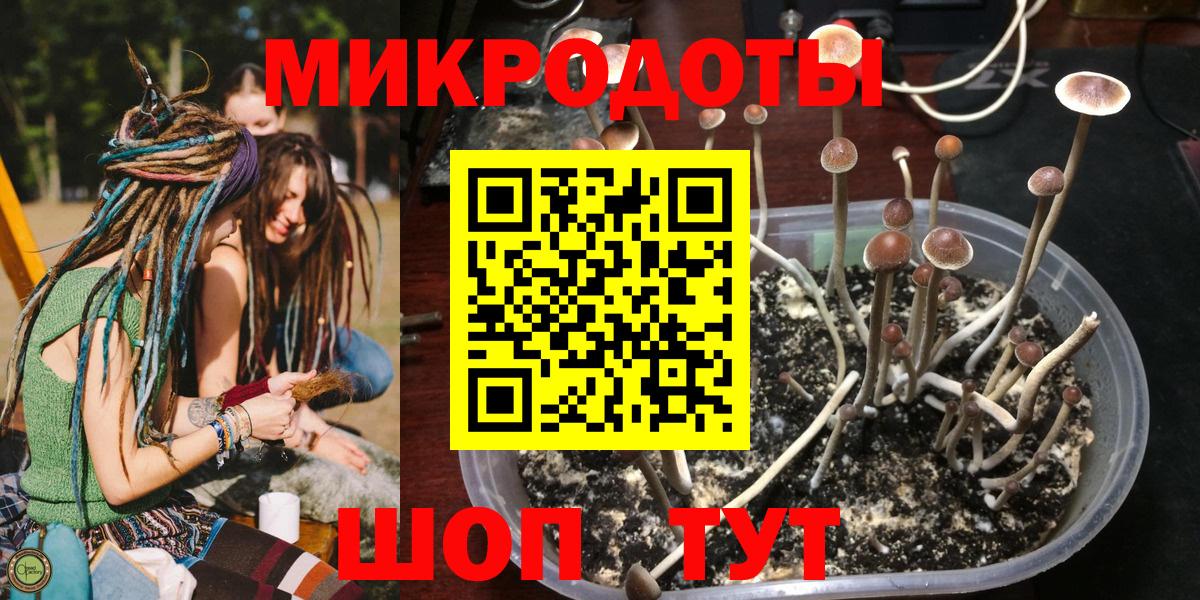 Псилоцибиновые грибы GOLDEN TEACHER Новотроицк