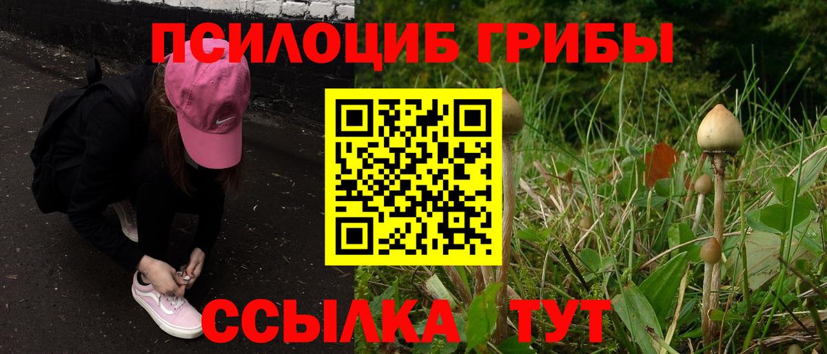 Псилоцибиновые грибы ЛСД  Вход с VPN  Новотроицк  Псилоцибиновые грибы Psilocybine cubensis 